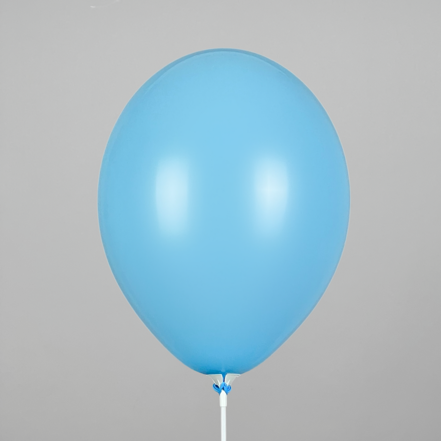 Belbal 12” | Pastel 003 Sky Blue (50 pcs)