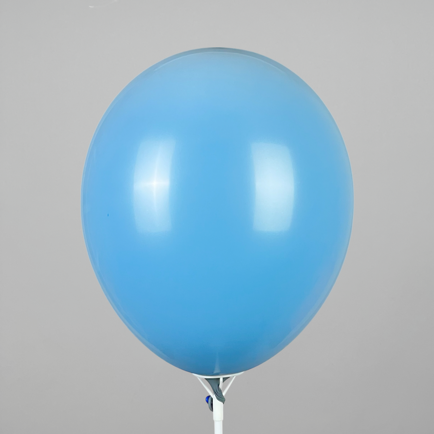 Double Stuff Gemar 12” Gray Blue | 010 in 070 (25 pcs)