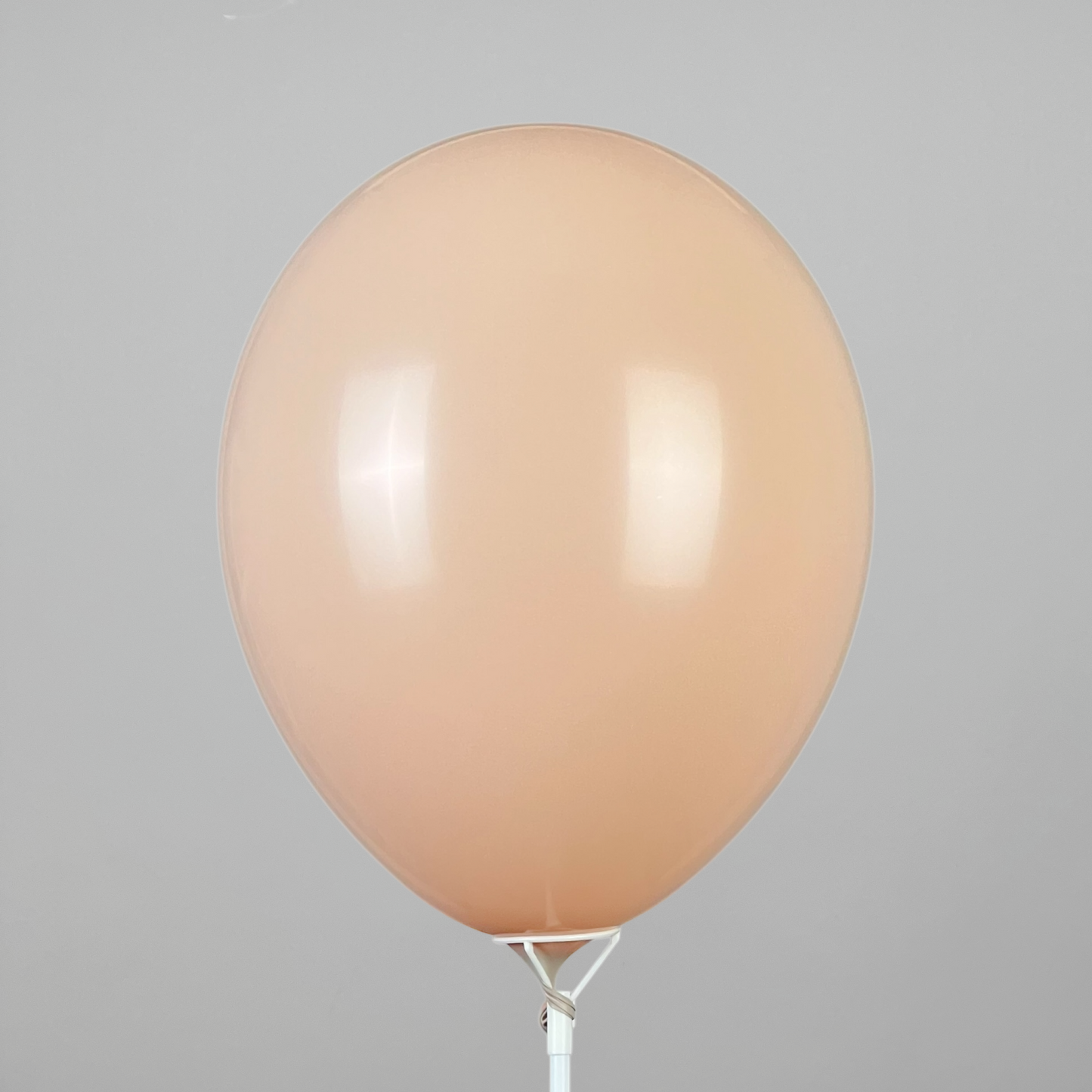 Double Stuff Gemar 12” Blush | 076 in 069 (25 pcs)