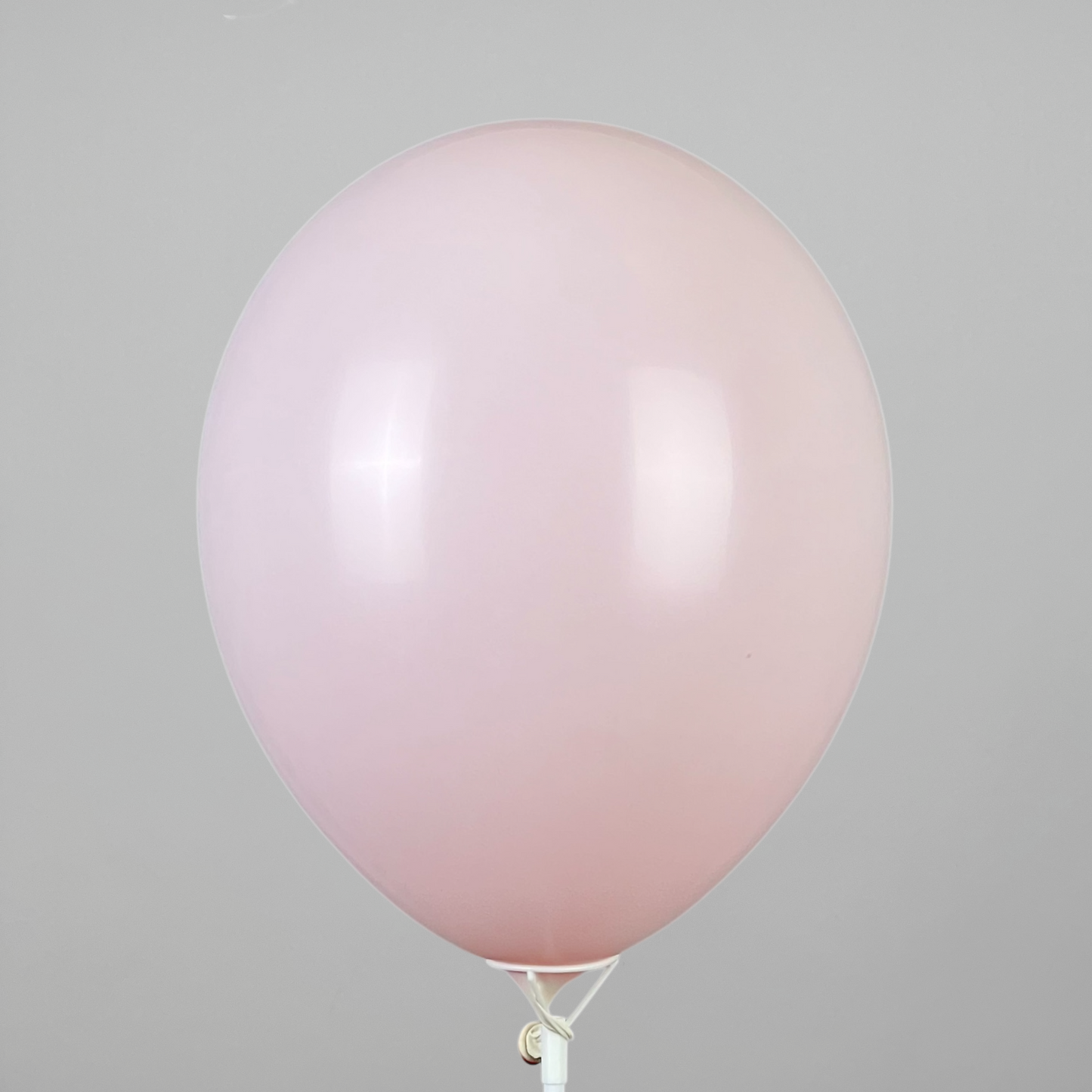 Double Stuff Gemar 12” Pale Pink | 073 in 001 (25 pcs)