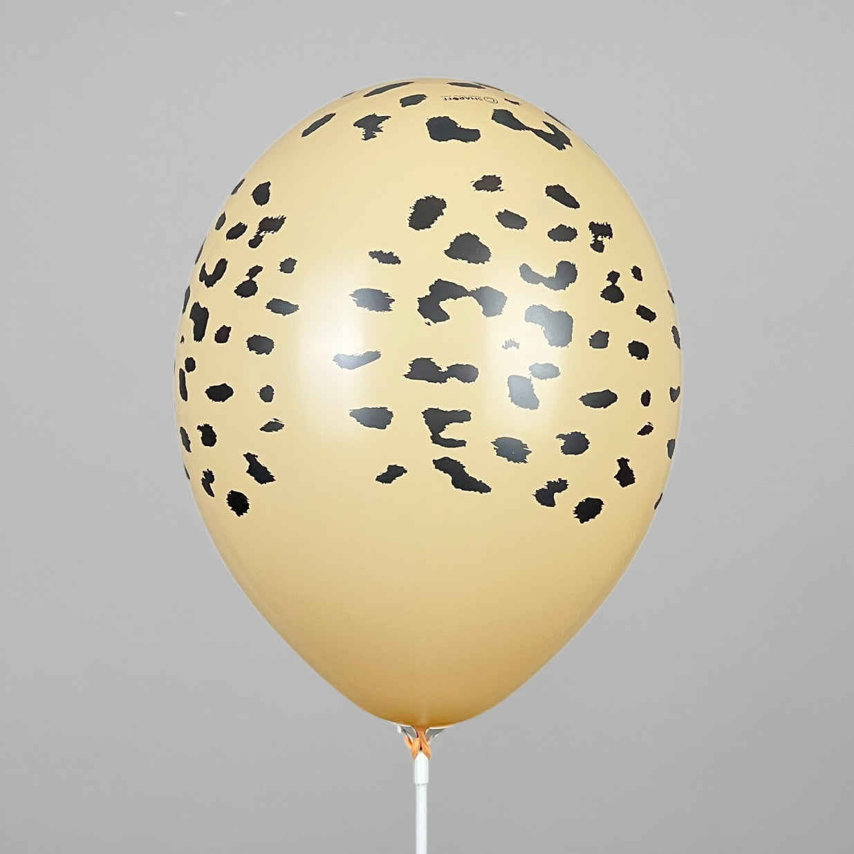 Print 122 Belbal 12” | “Cheetah” (1 pc)