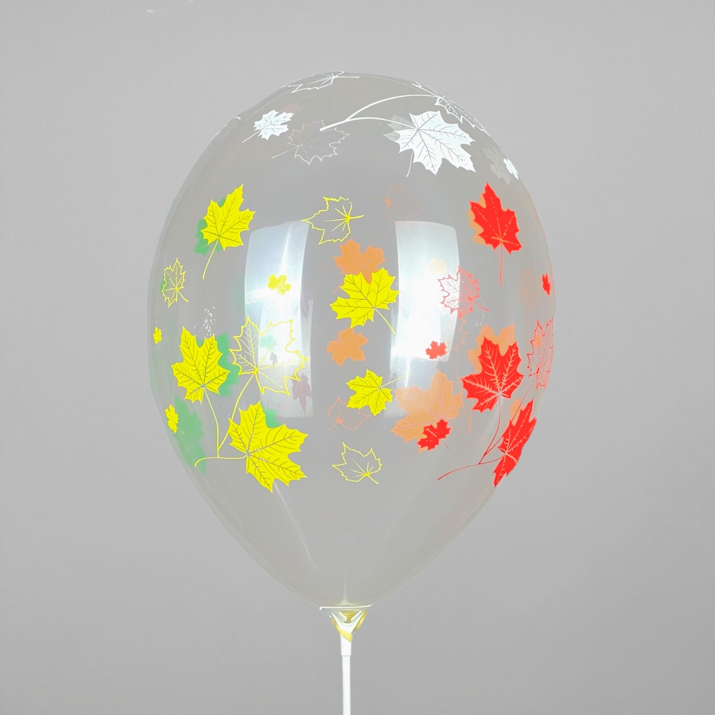 Print 420 Belbal 12” | “Maple Leaves on Transparent.” (1 pc)