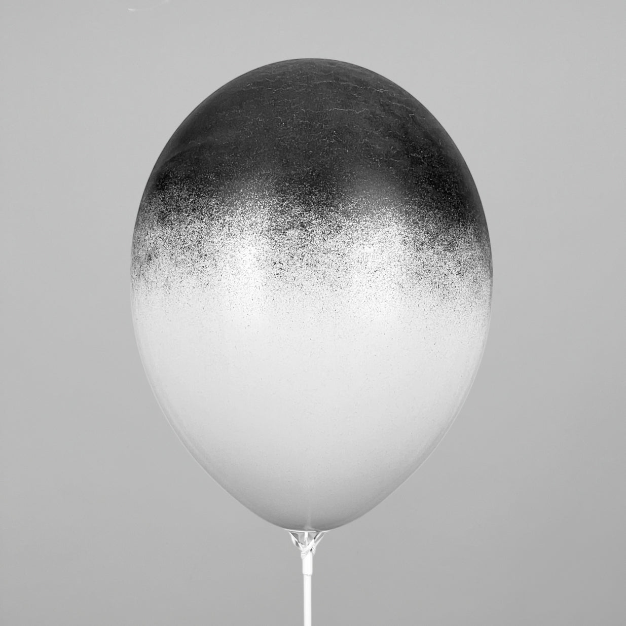 Print 258 Belbal 12" | Ombre White and Black (1 pcs)