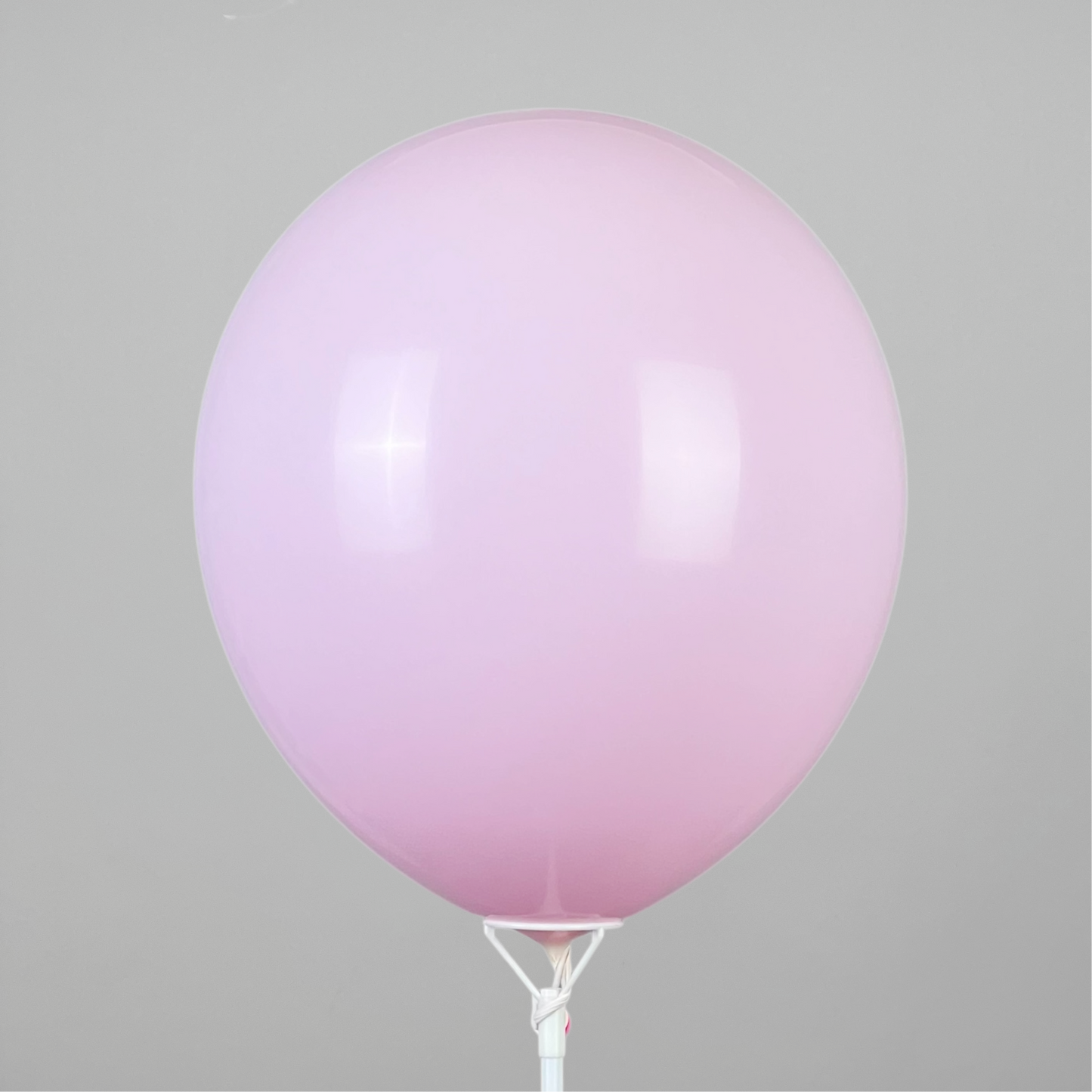 Double Stuff Kalisan 12" Baby Pink | 30 in 20 (25 pcs)
