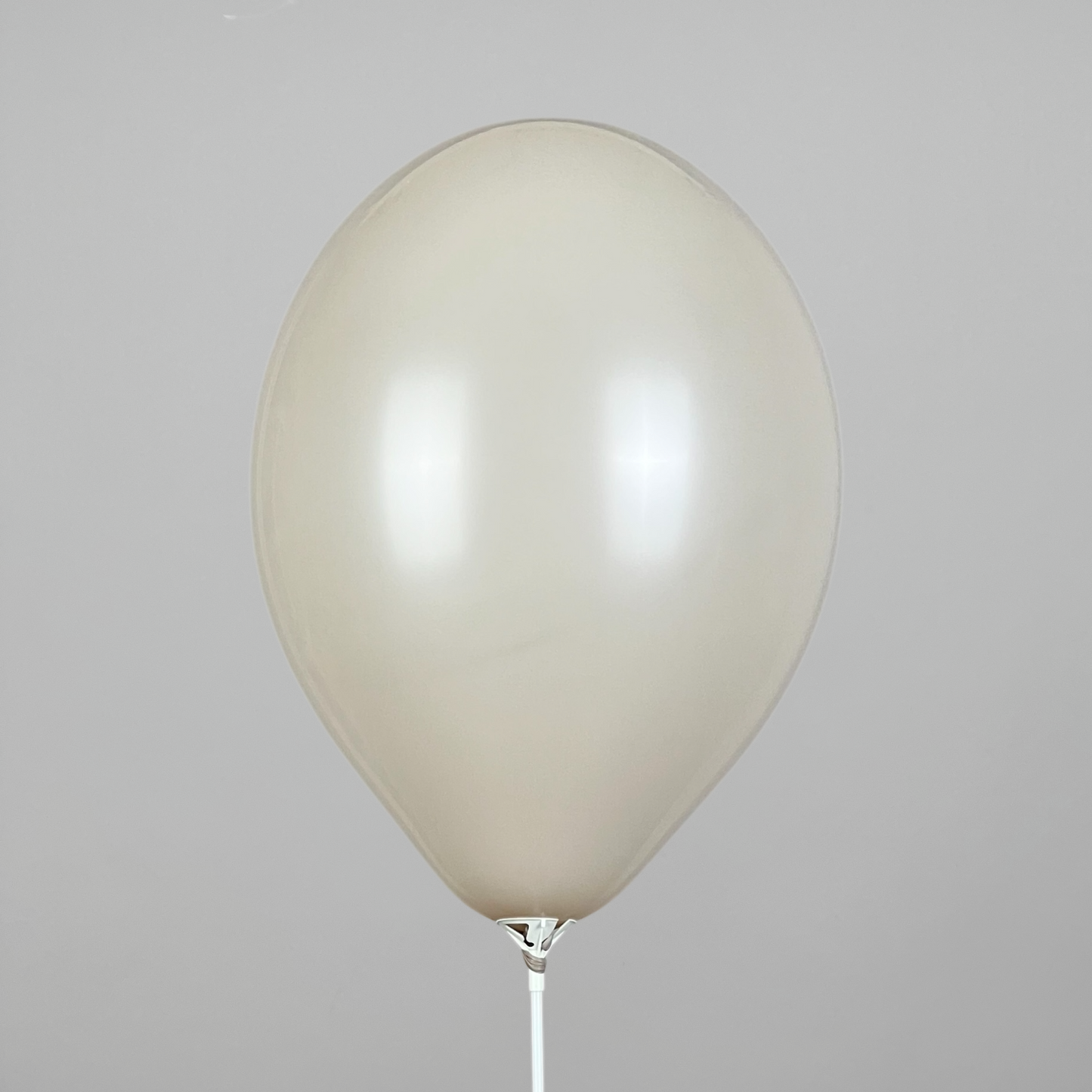Belbal 12” | Pastel 440 Warm Grey (50 pcs)