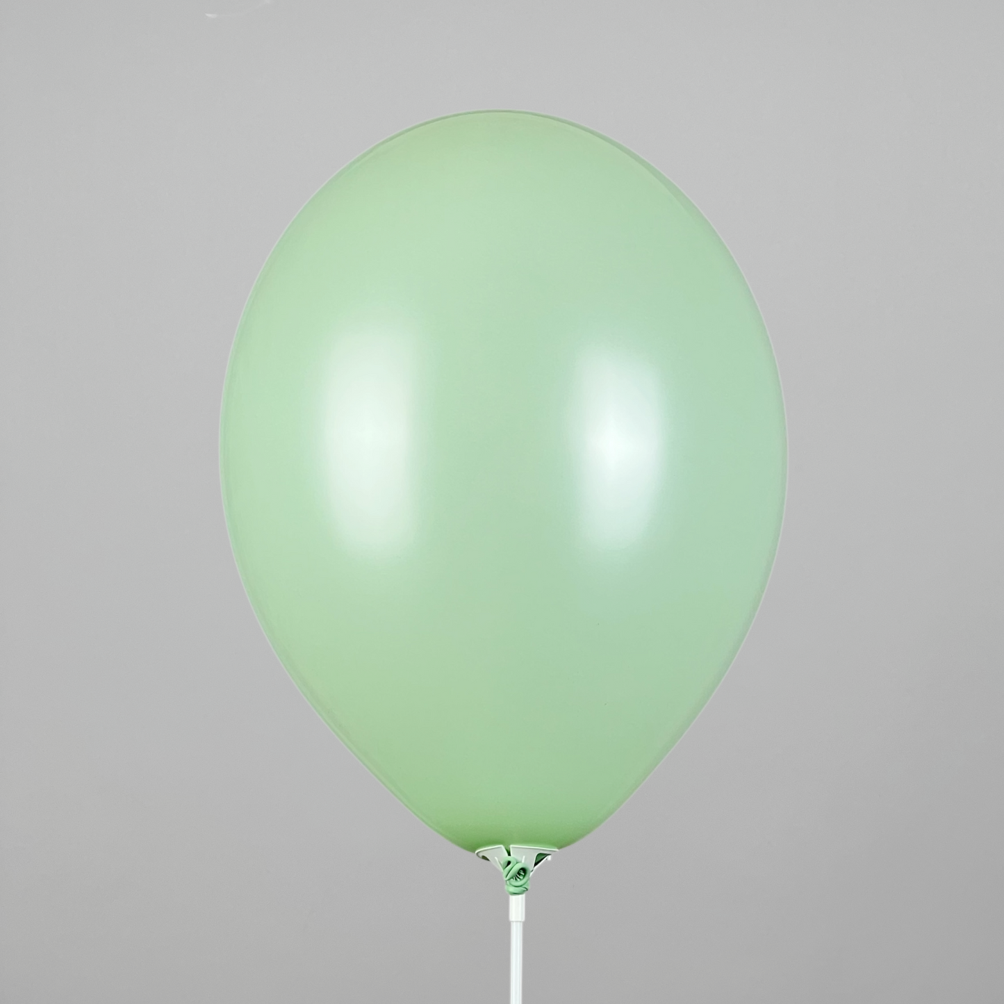 Belbal 12” | Pastel 452 Kiwi Green (50 pcs)