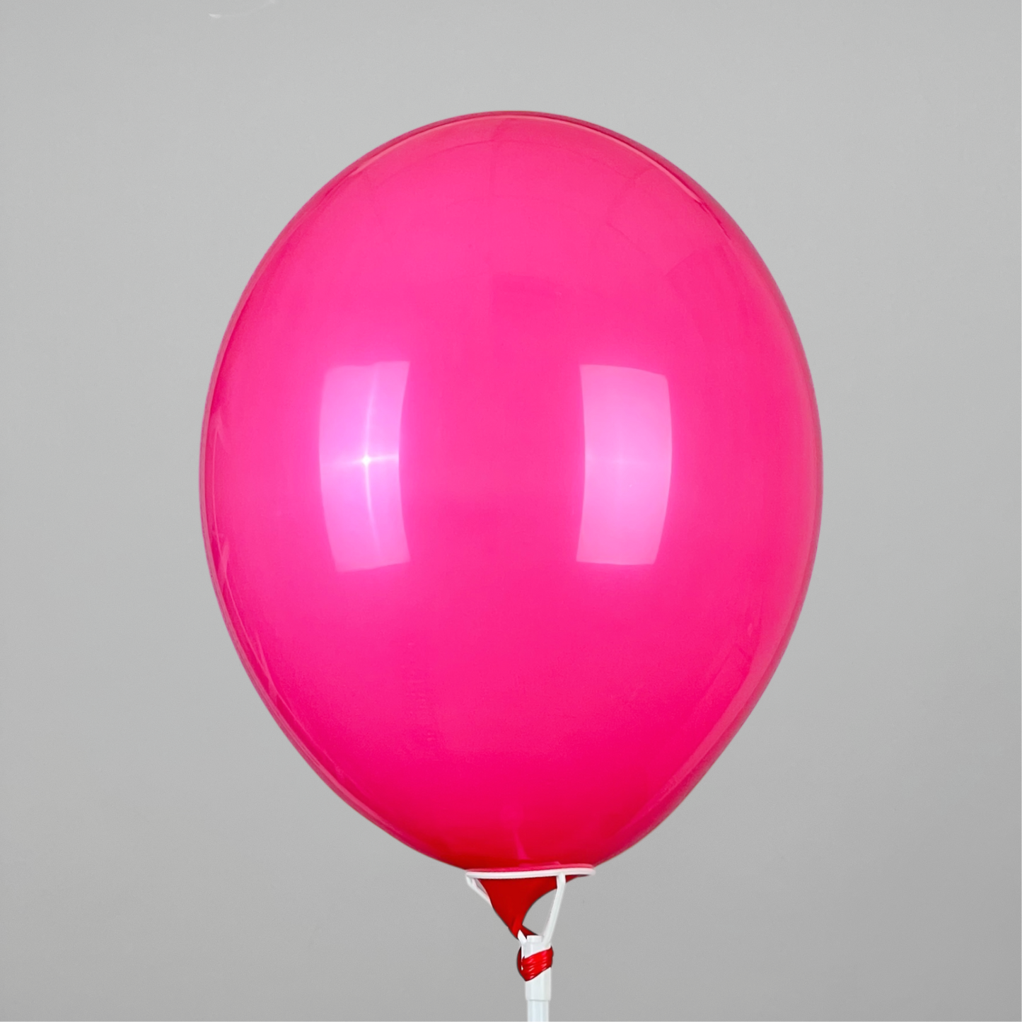Double Stuff Belbal 12" Raspberry | 453 in 034 (25 pcs)