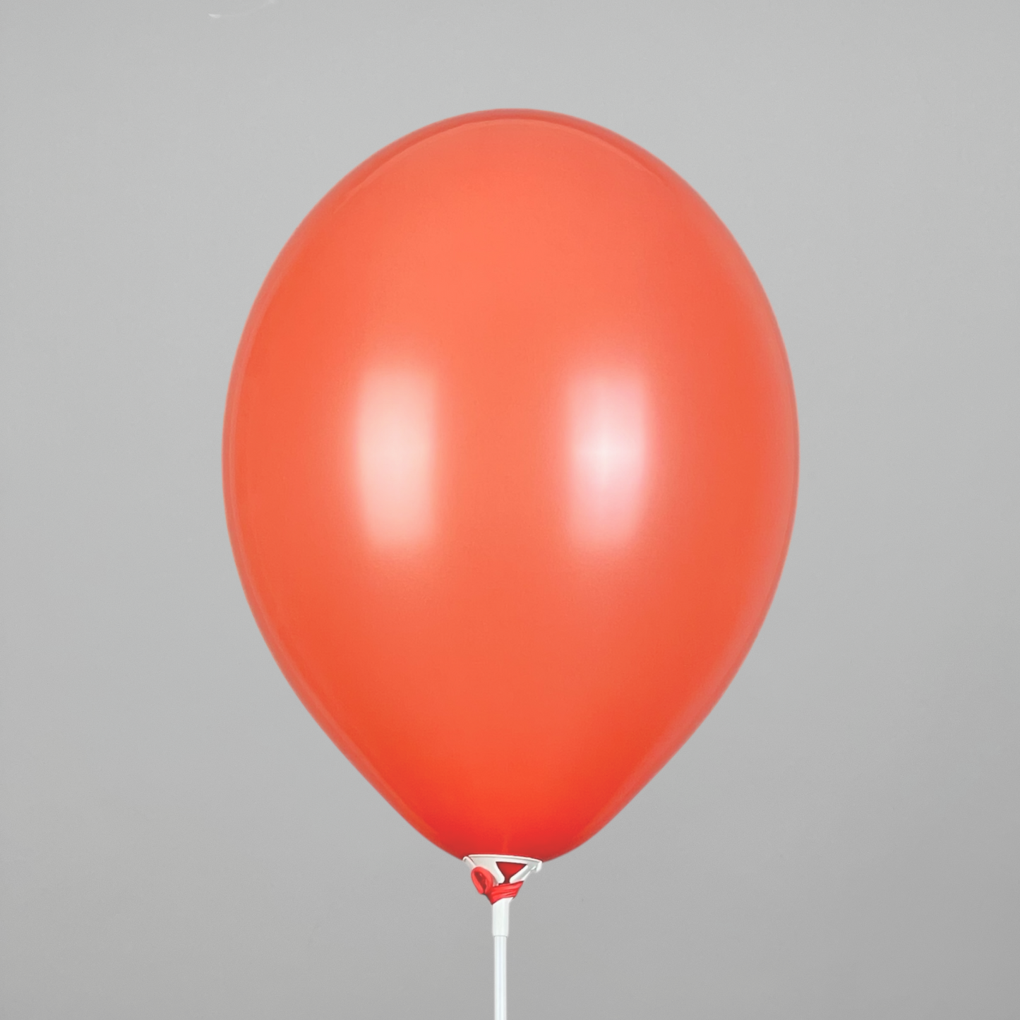 Belbal 12” | Pastel 455 Coral (50 pcs)