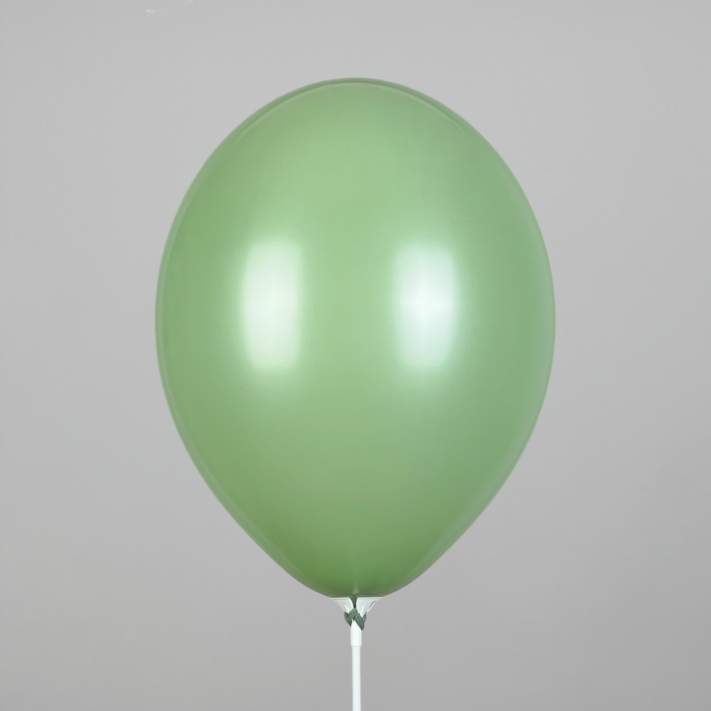 Belbal 12” | Pastel 488 Rosemary Green (50 pcs)