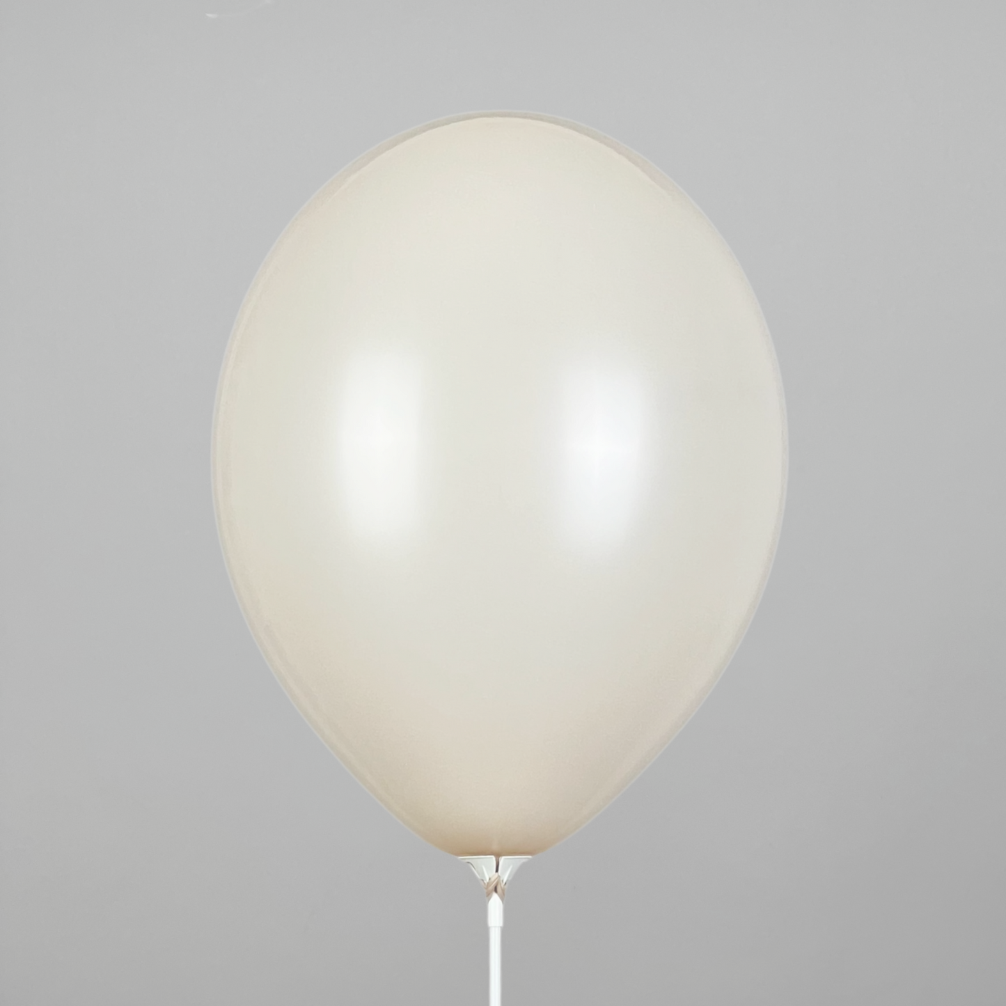 Belbal 12” | Pastel 489 Alabaster (50 pcs)