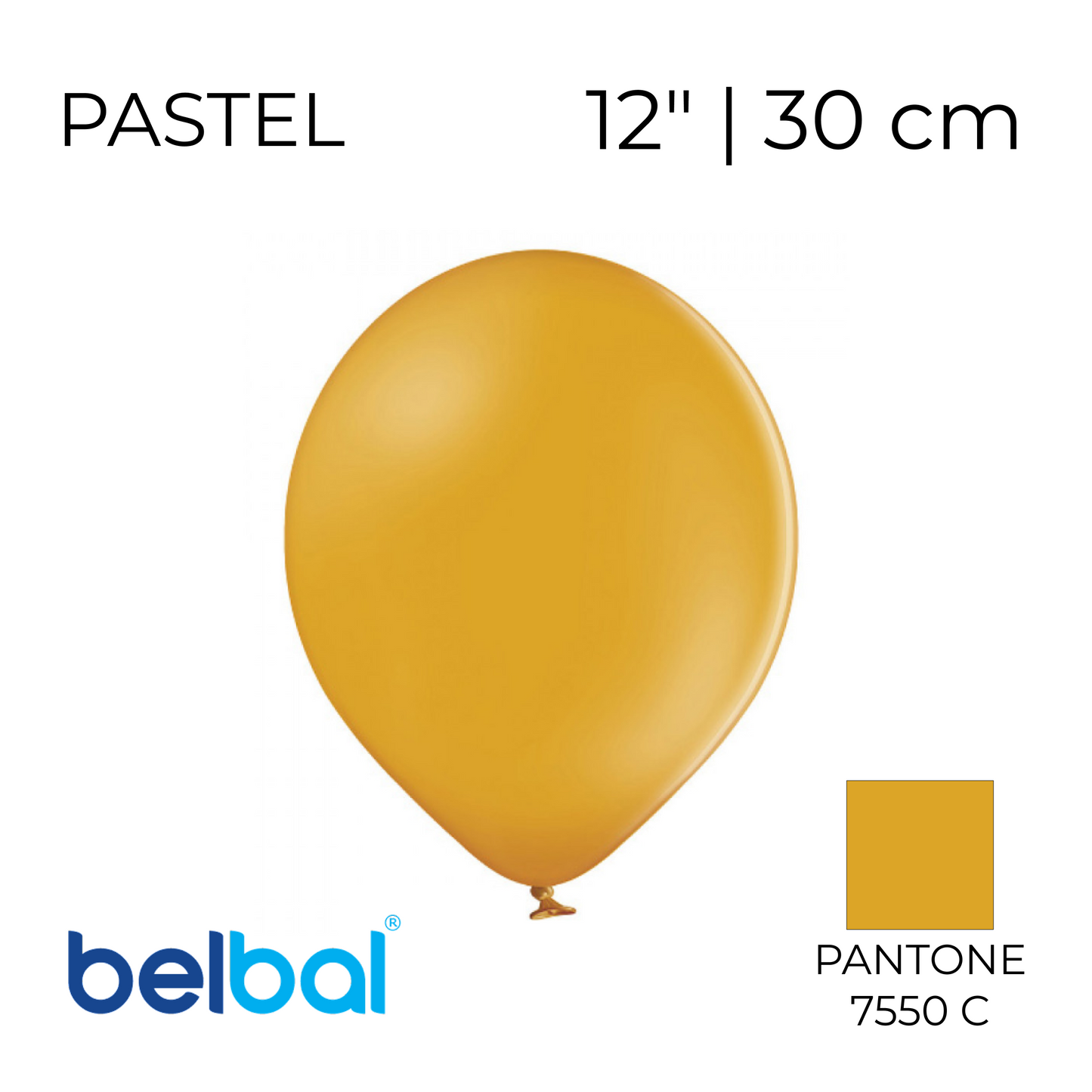Belbal 12” | Pastel 491 Honey (50 pcs)