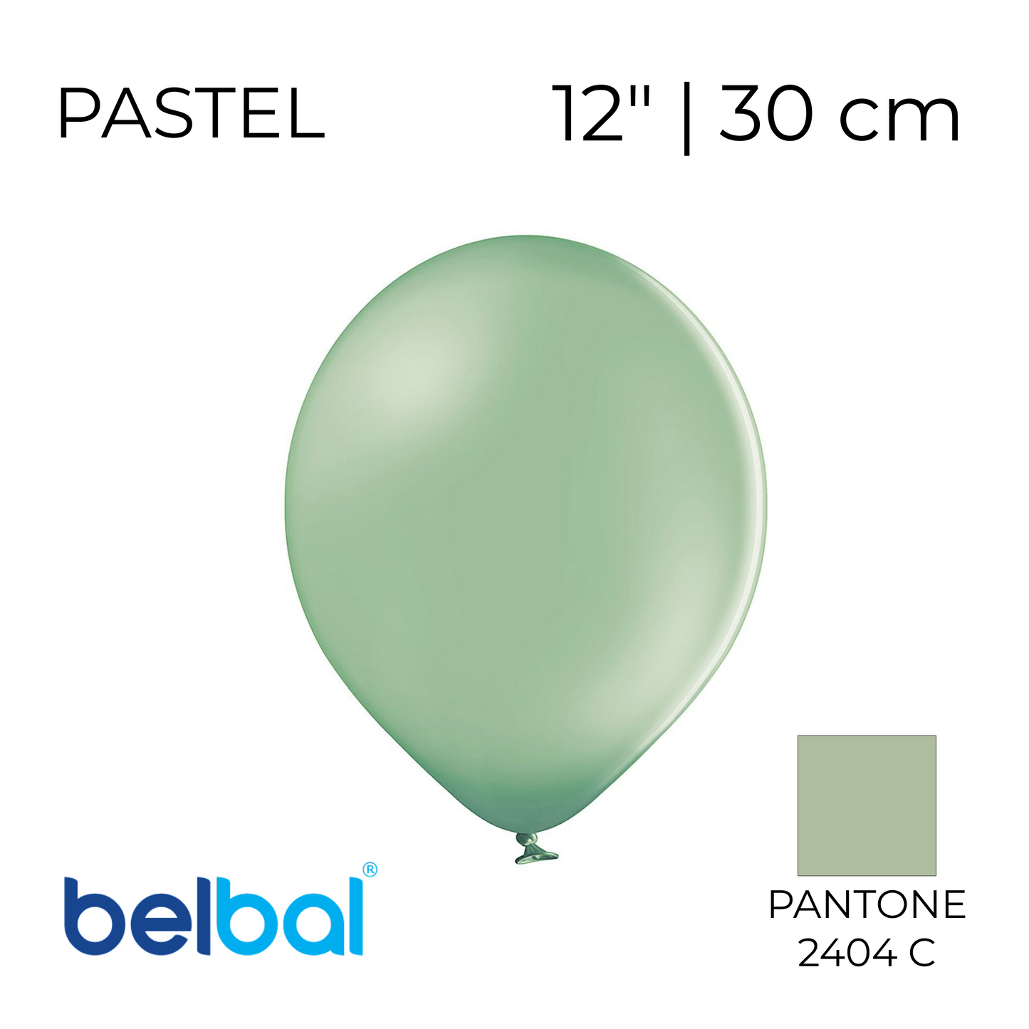 Belbal 12” | Pastel 488 Rosemary Green (50 pcs)