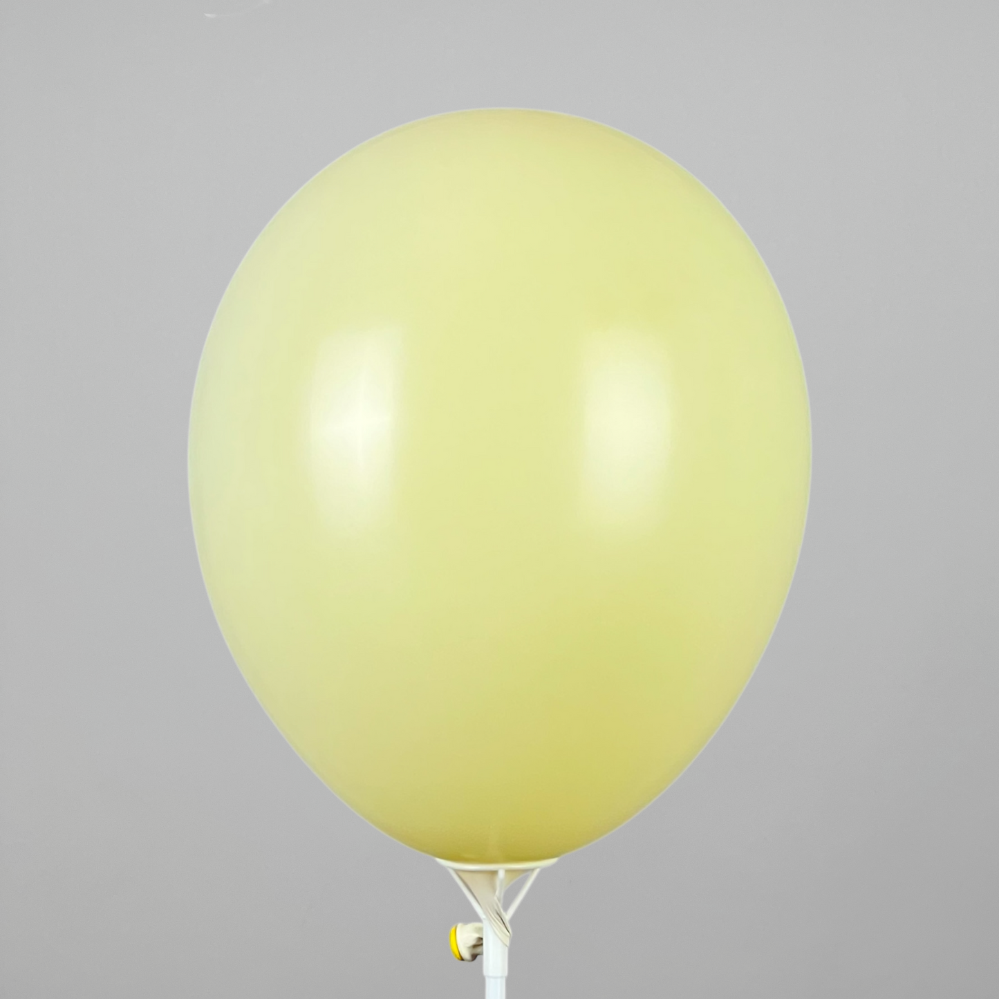 Double Stuff Gemar 12” Pale Yellow | 002 in 001 (25 pcs)