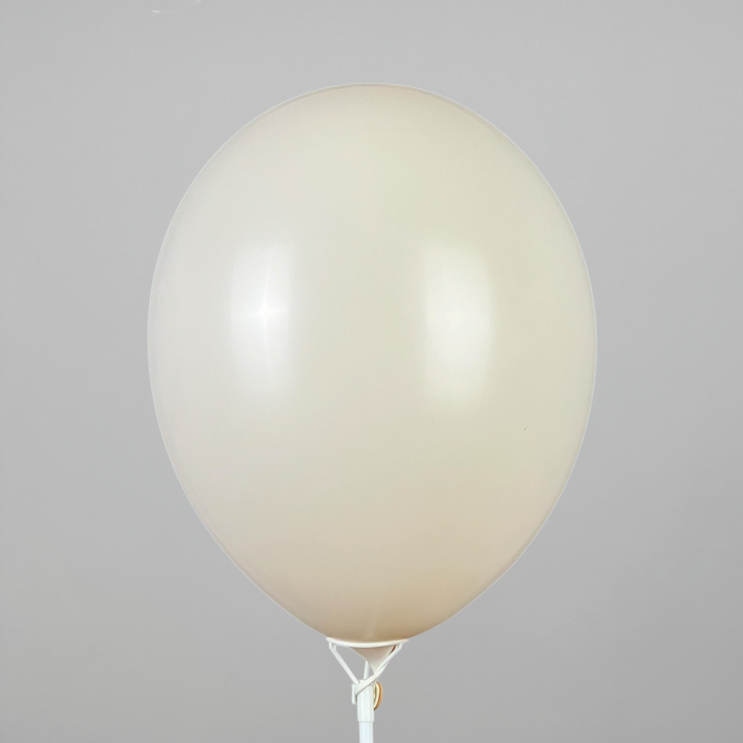 Double Stuff Gemar 12” Pale Blush | 069 in 001 (25 pcs)