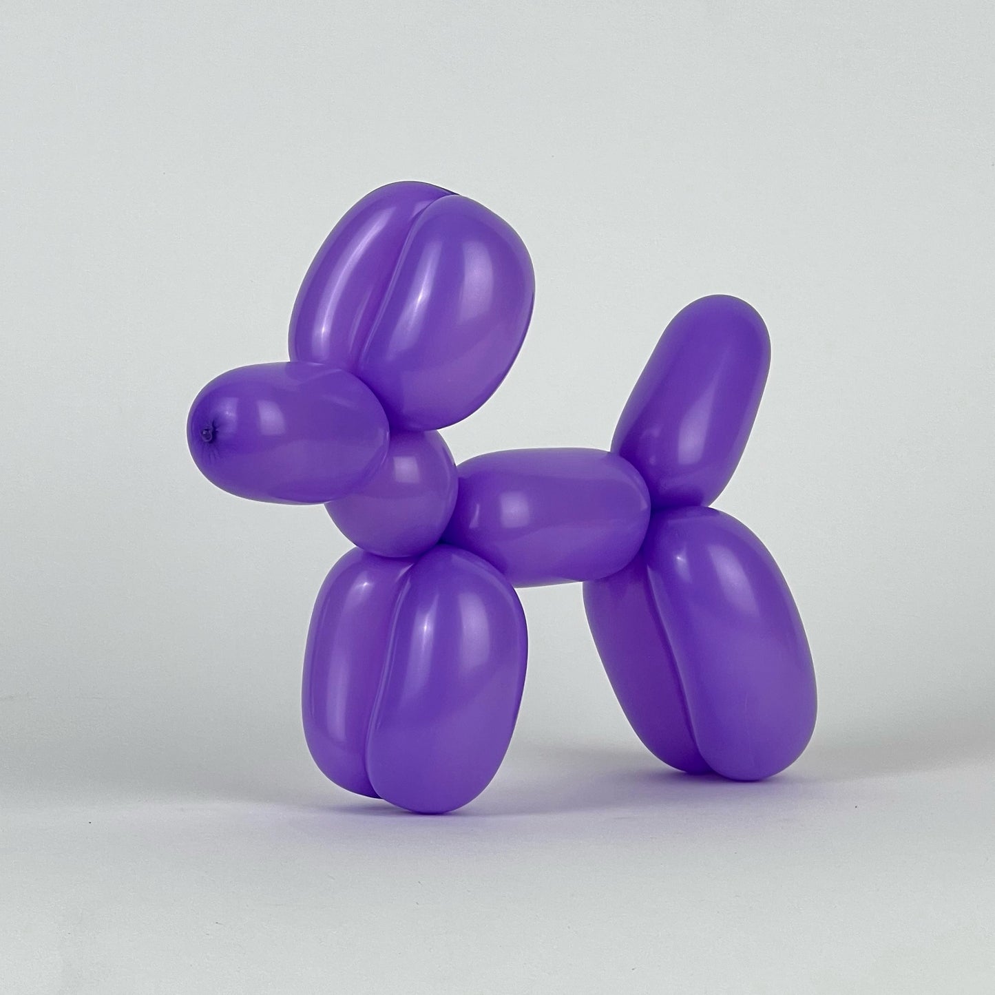 Gemar 260 | Standard 008 Purple (100 pcs)