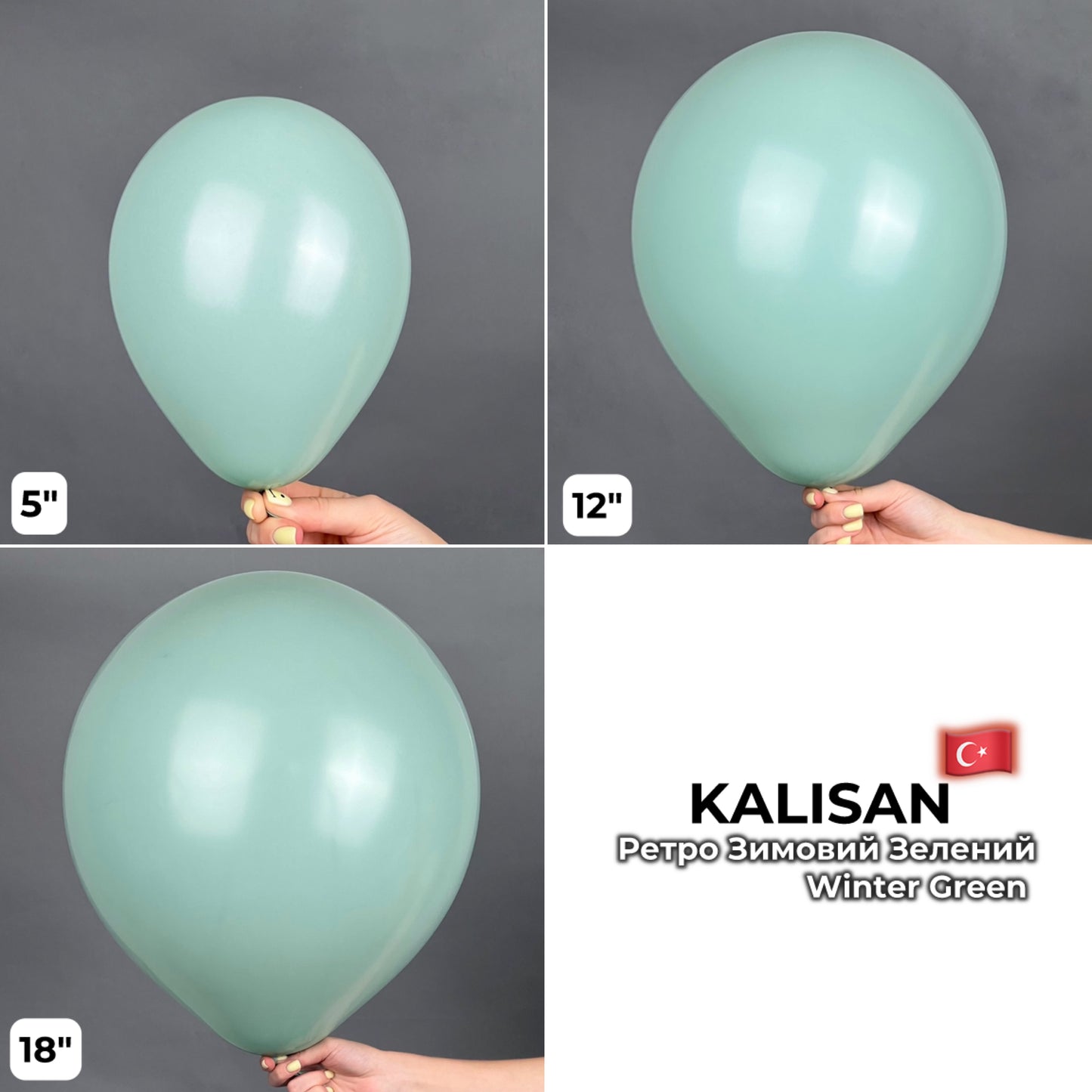 Kalisan 12" Winter Green (100 psc)